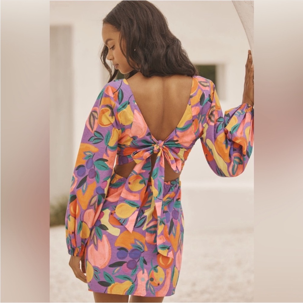 Farm Rio Poplin Mini dress